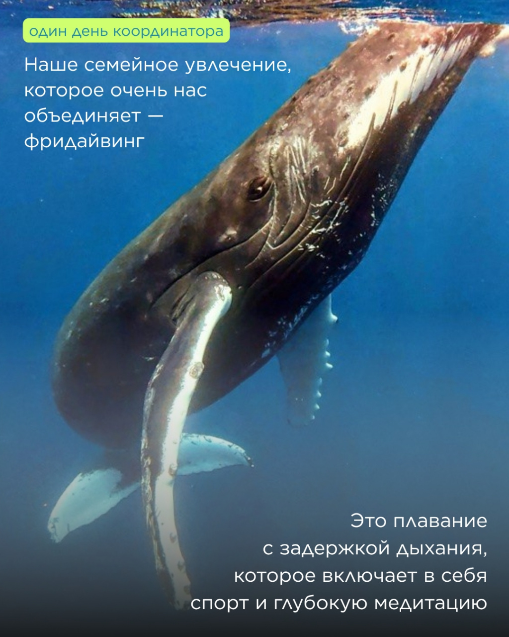fpT_UEQ3-68DLxa5P20OF_-SDsnPe0Ot9lcceym21_4Hsp7bQkQRq9fRC-2JghecKOOD3FyGitFR0oj2x0iob0E2.jpg