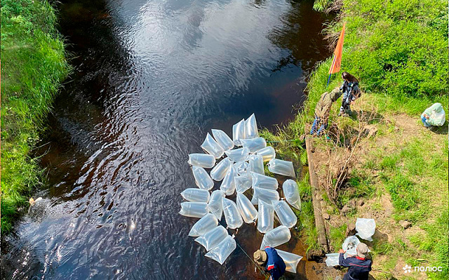 Рассказана еще одна история успеха женщины в золотодобыче